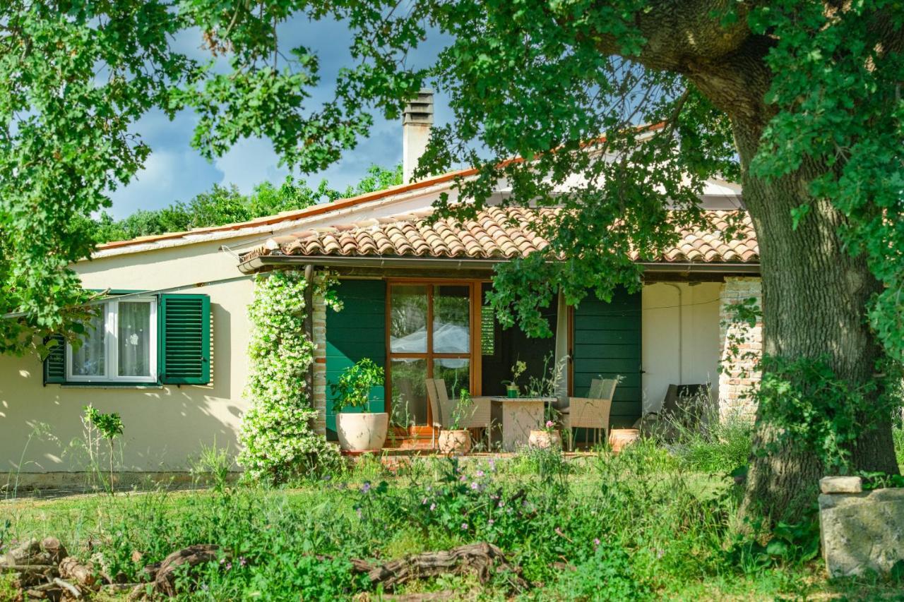 House Boris Apartment Loborika Bagian luar foto